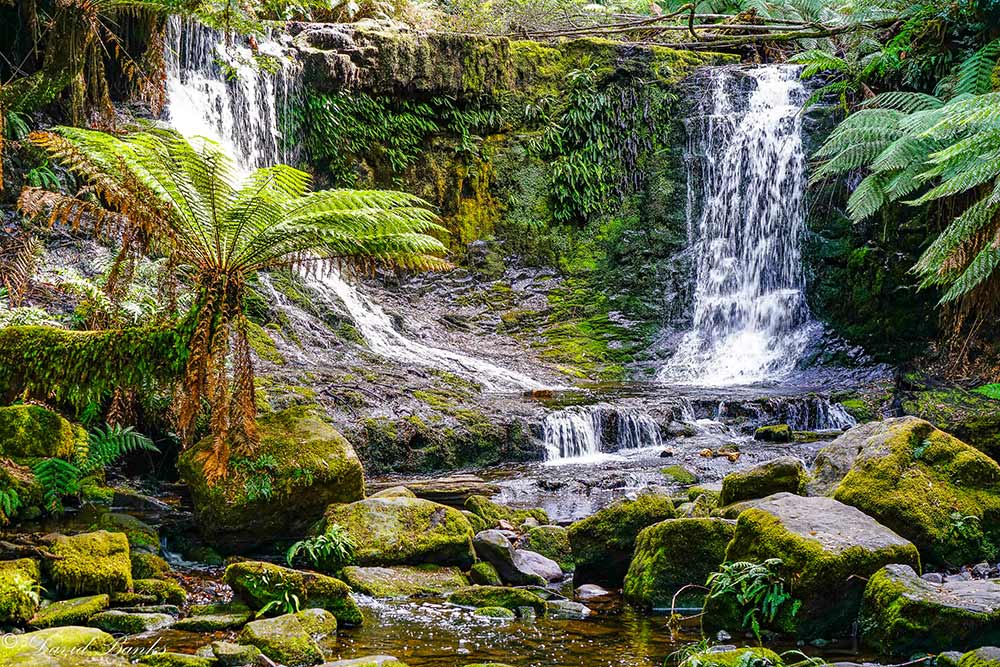 HorseshoeFalls TRACK TRAILER